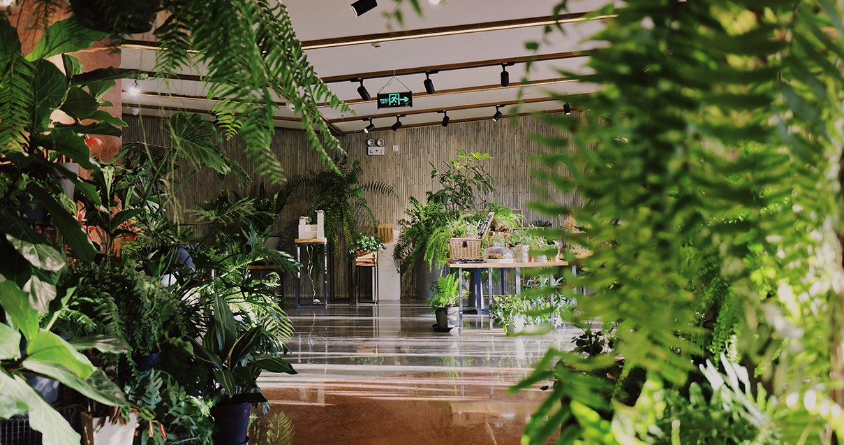 尊龙凯时奥莱·滇池小镇