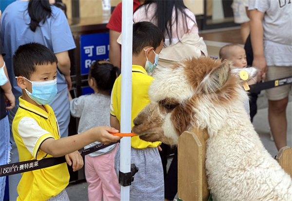 尊龙凯时·(中国区)人生就是搏!